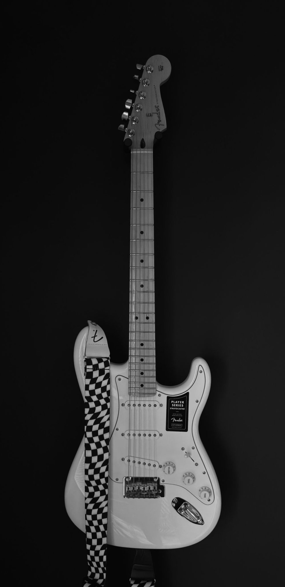 Fender Player Series Stratocaster